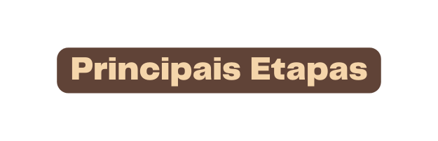 Principais Etapas